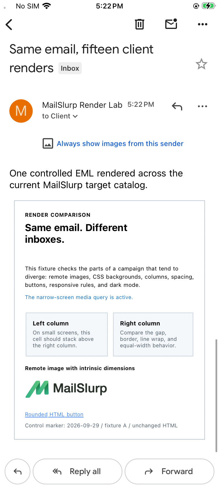 Controlled email in the Gmail iOS app with visible preheader, plain hero, narrow side-by-side columns, remote wordmark, and link-style CTA