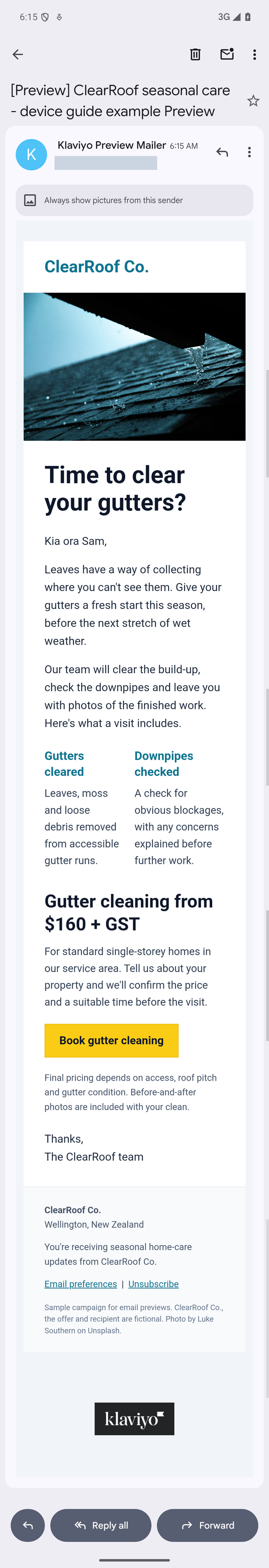 Original Klaviyo email in Gmail Android light mode with a dark Book gutter cleaning label on a yellow button