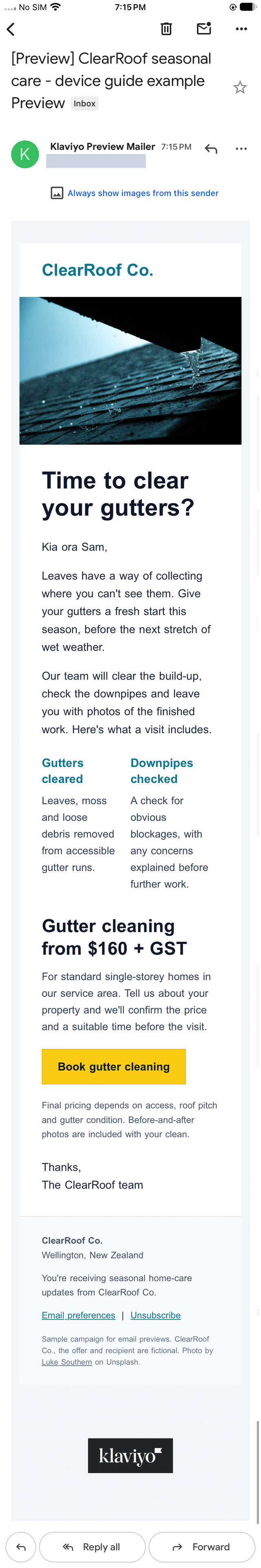 Original Klaviyo email in Gmail on iPhone with the two service descriptions remaining side by side