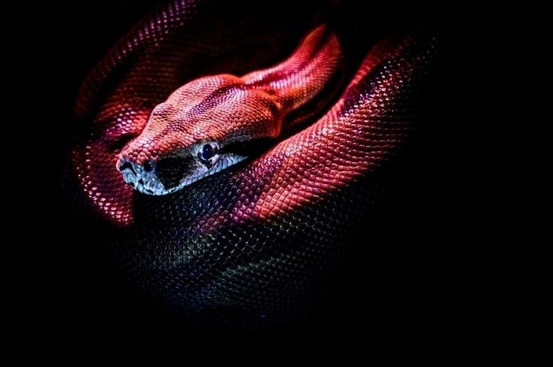 Send SMTP email with Python (using SMTPLib)
