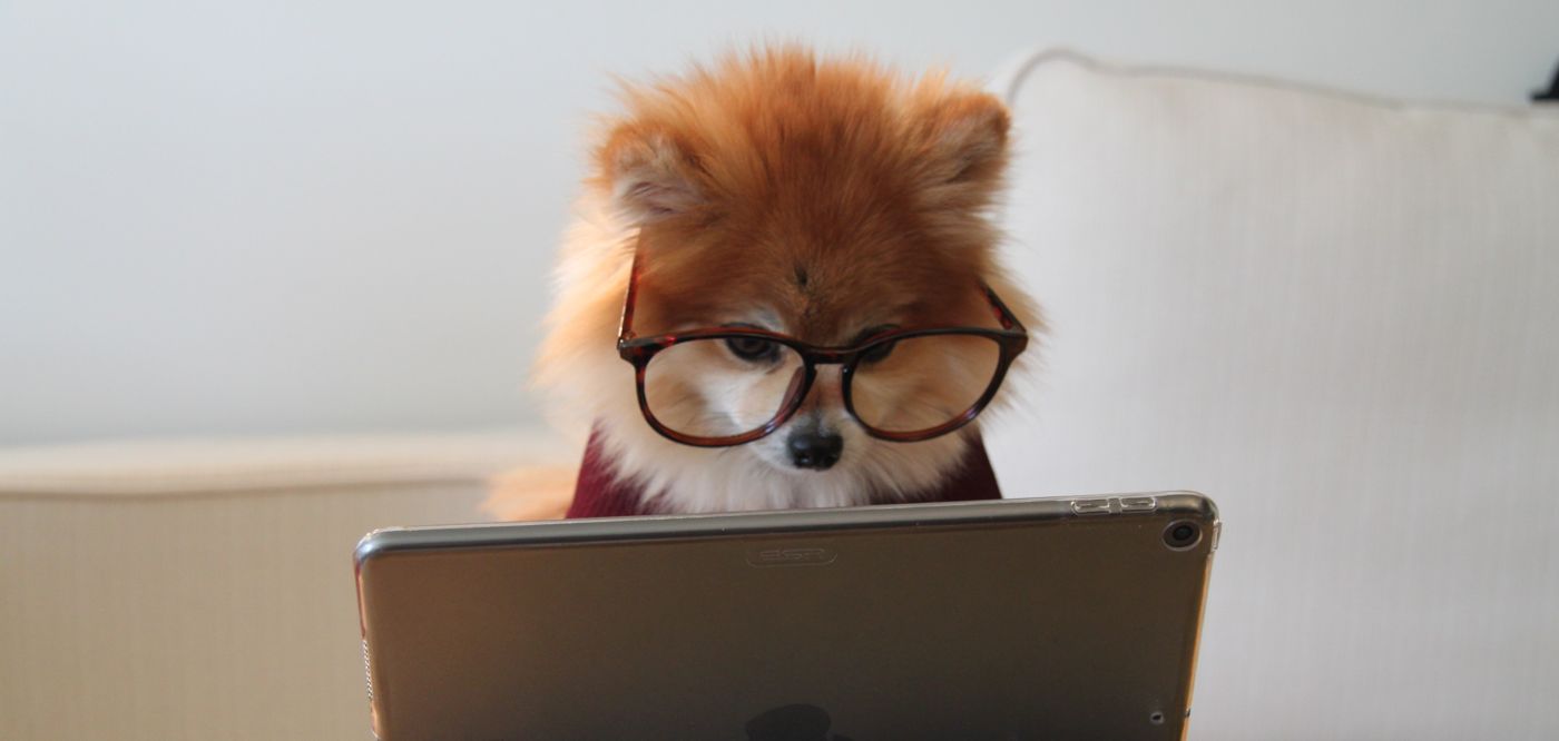 email automation