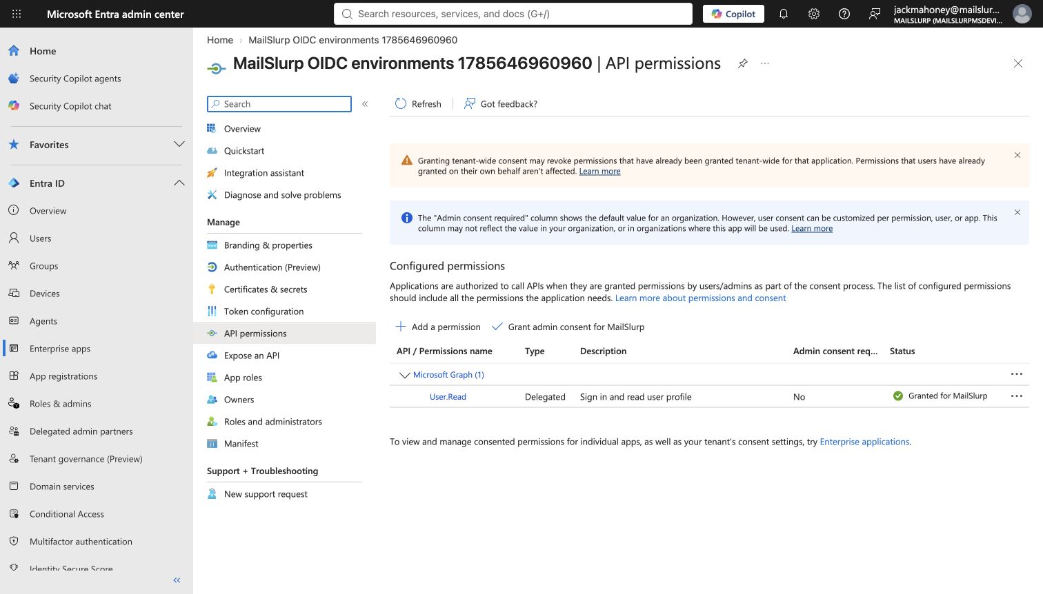 Entra API permissions with User.Read granted