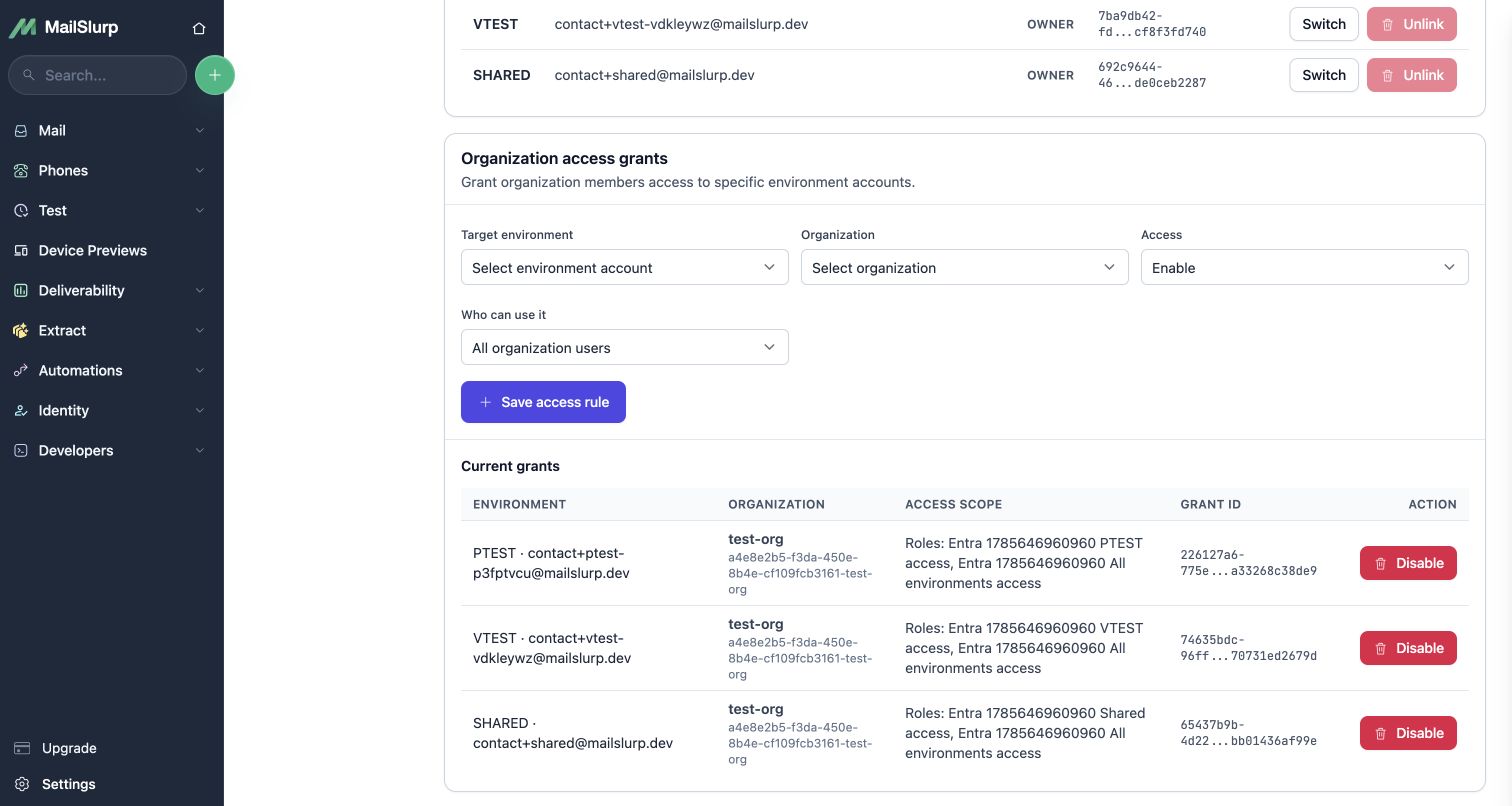 Current MailSlurp environment grants mapped to roles