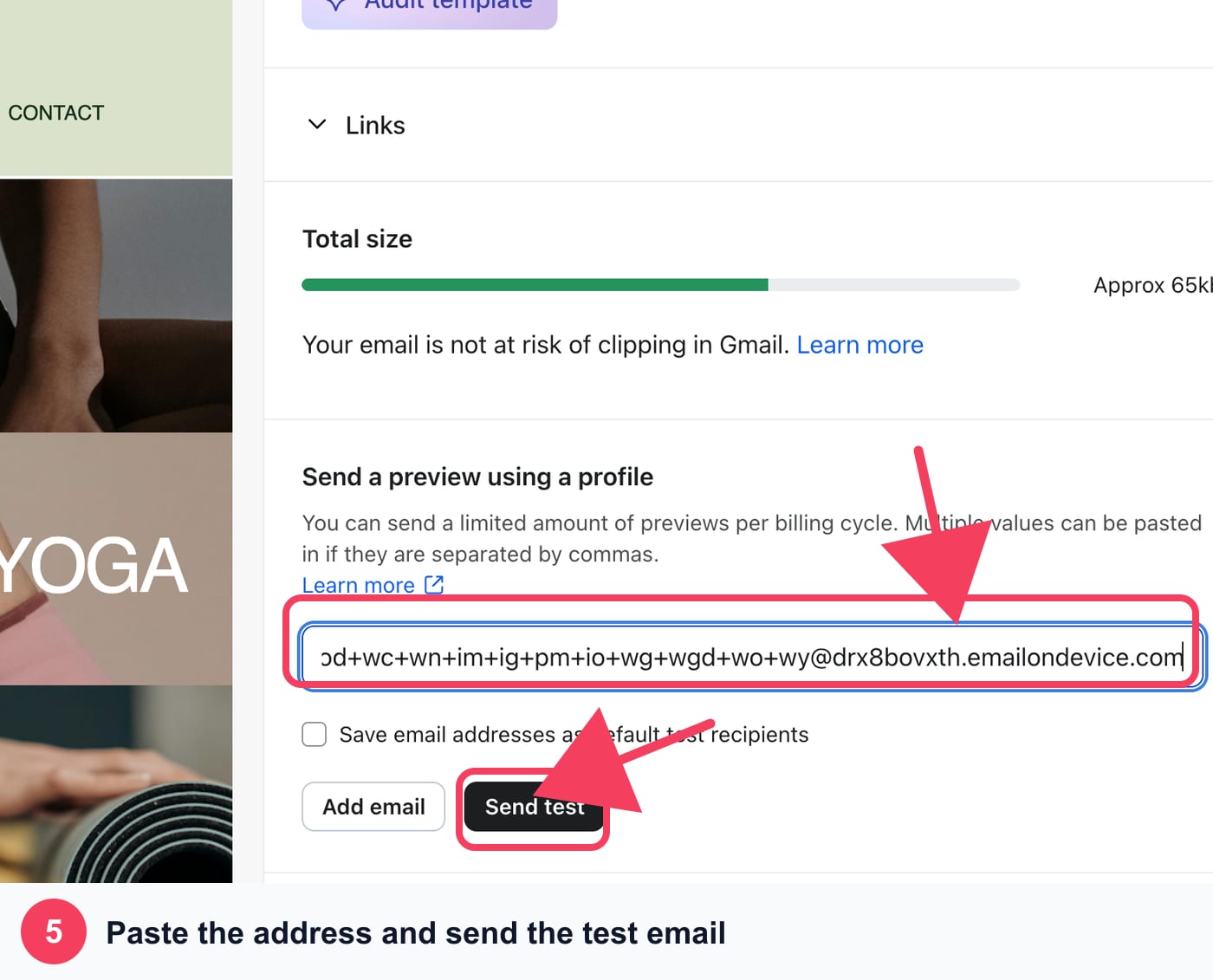 Klaviyo preview test-send field with the MailSlurp render address