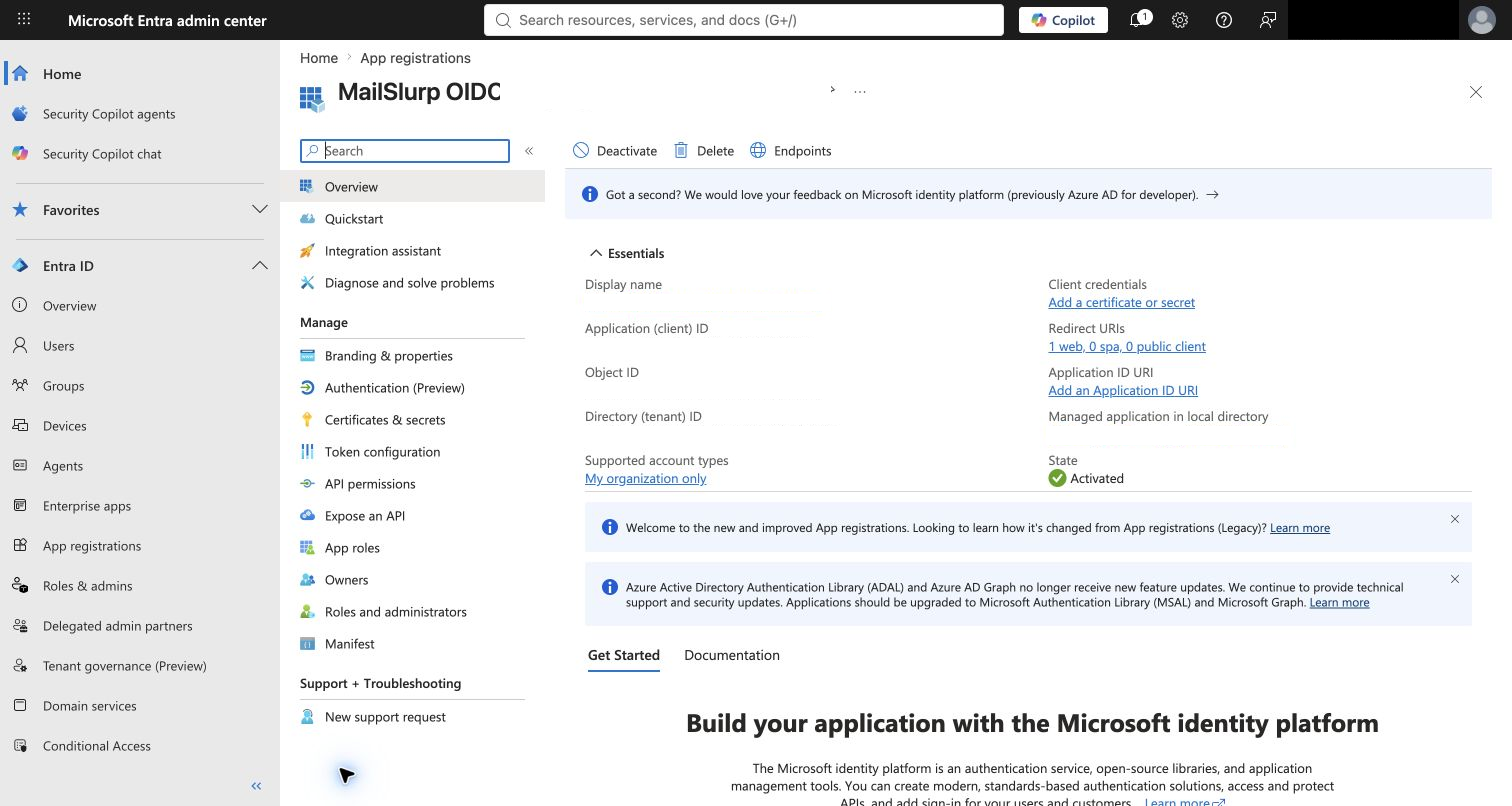 Entra application overview showing app and tenant identifiers