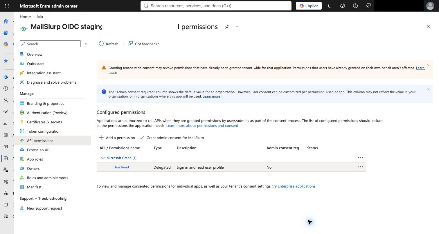 Entra API permissions with admin consent granted