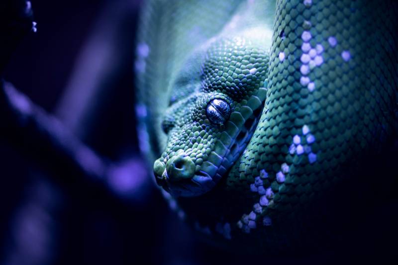 python test email