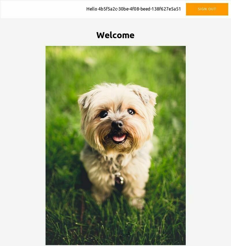 welcome