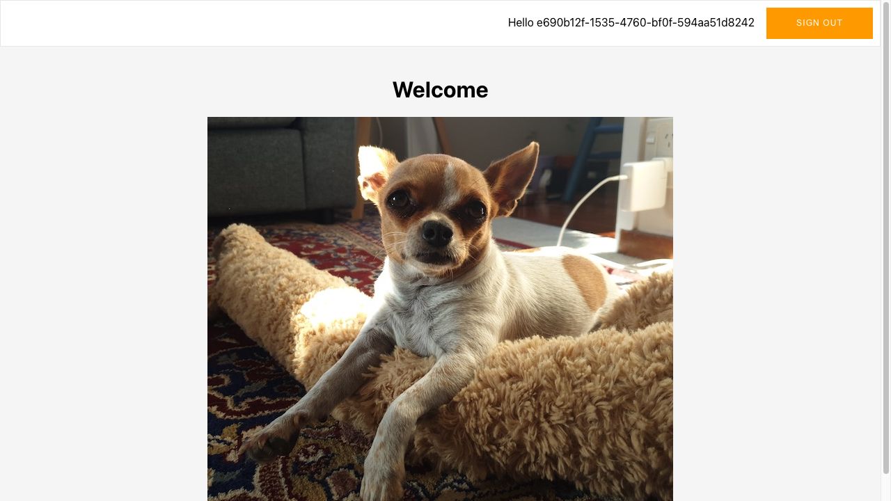 greeting