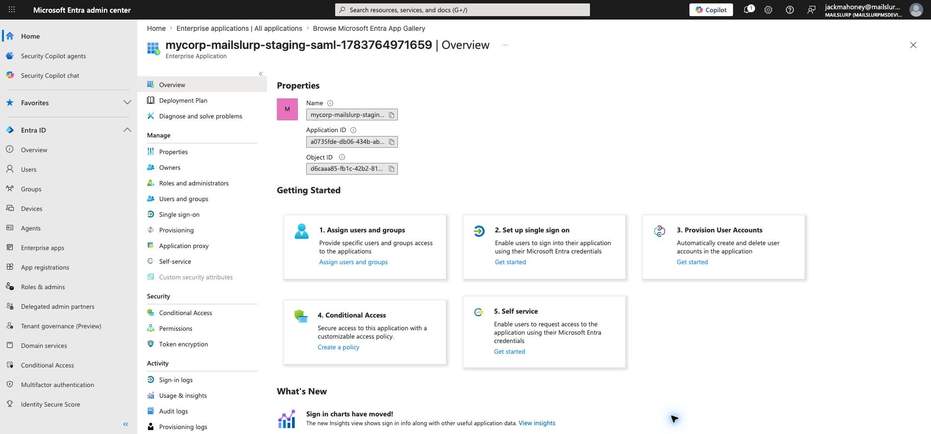 Example Entra application created
